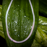 Nahaufnahme der fein verflochtenen 4,5 mm Boxkette aus Sterling Silber