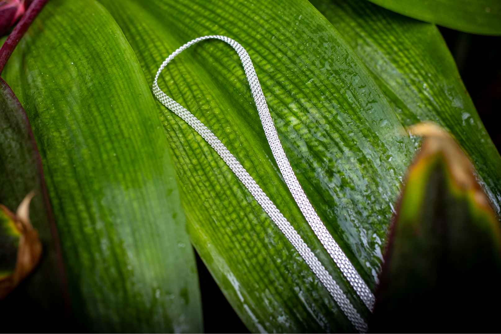 Kettenlänge ca. 380 + 50 mm – HEDDA Boxkette 4,5 mm